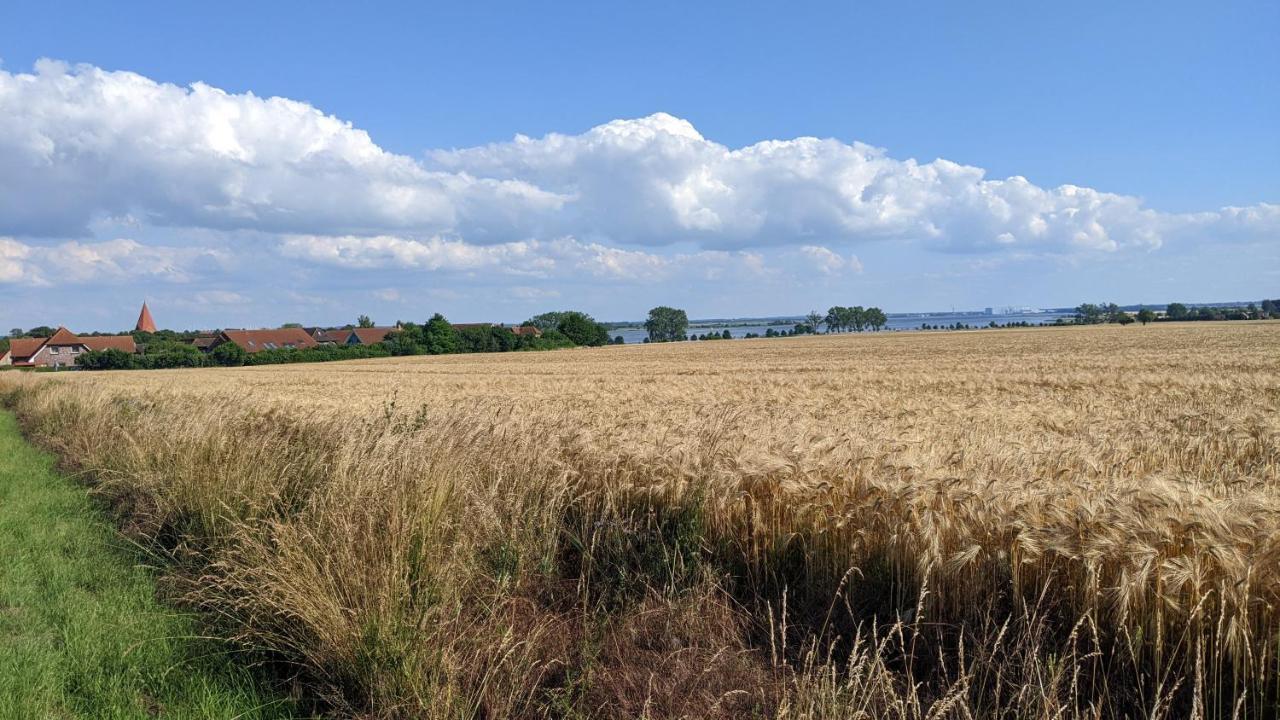 Ferien Auf Der Insel Poel Lägenhet Kirchdorf  Exteriör bild